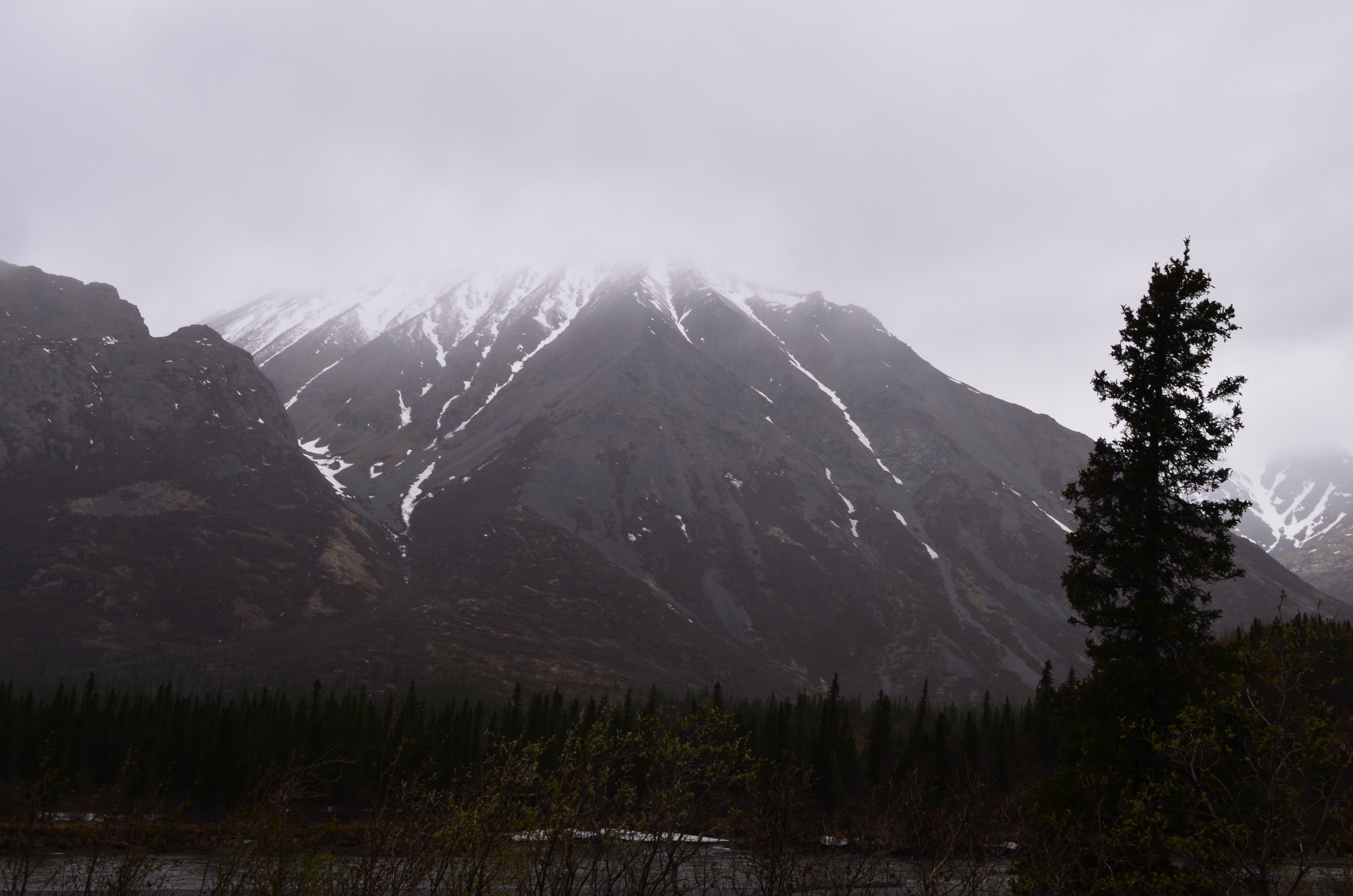 ./2017/08 - Alaska Cruise/03 - Denali/DSC_0108.JPG